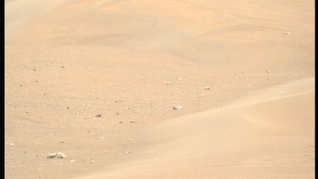 Reddish-tan sand is seen with a few rocks at the base of a large ripple in a photo taken by NASA's Perseverance Mars rover